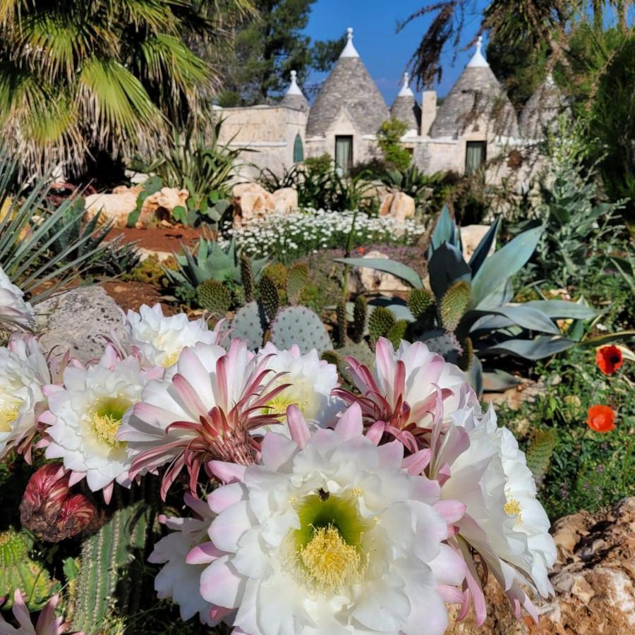 הוילה Trullo Bosco Libero אוסטוני מראה חיצוני תמונה