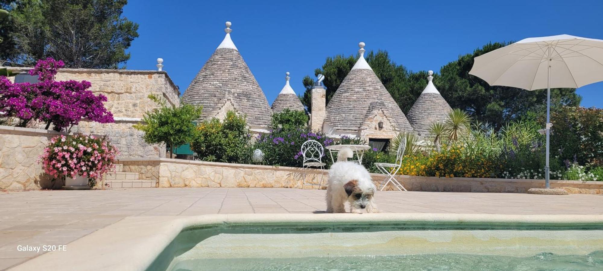 הוילה Trullo Bosco Libero אוסטוני מראה חיצוני תמונה