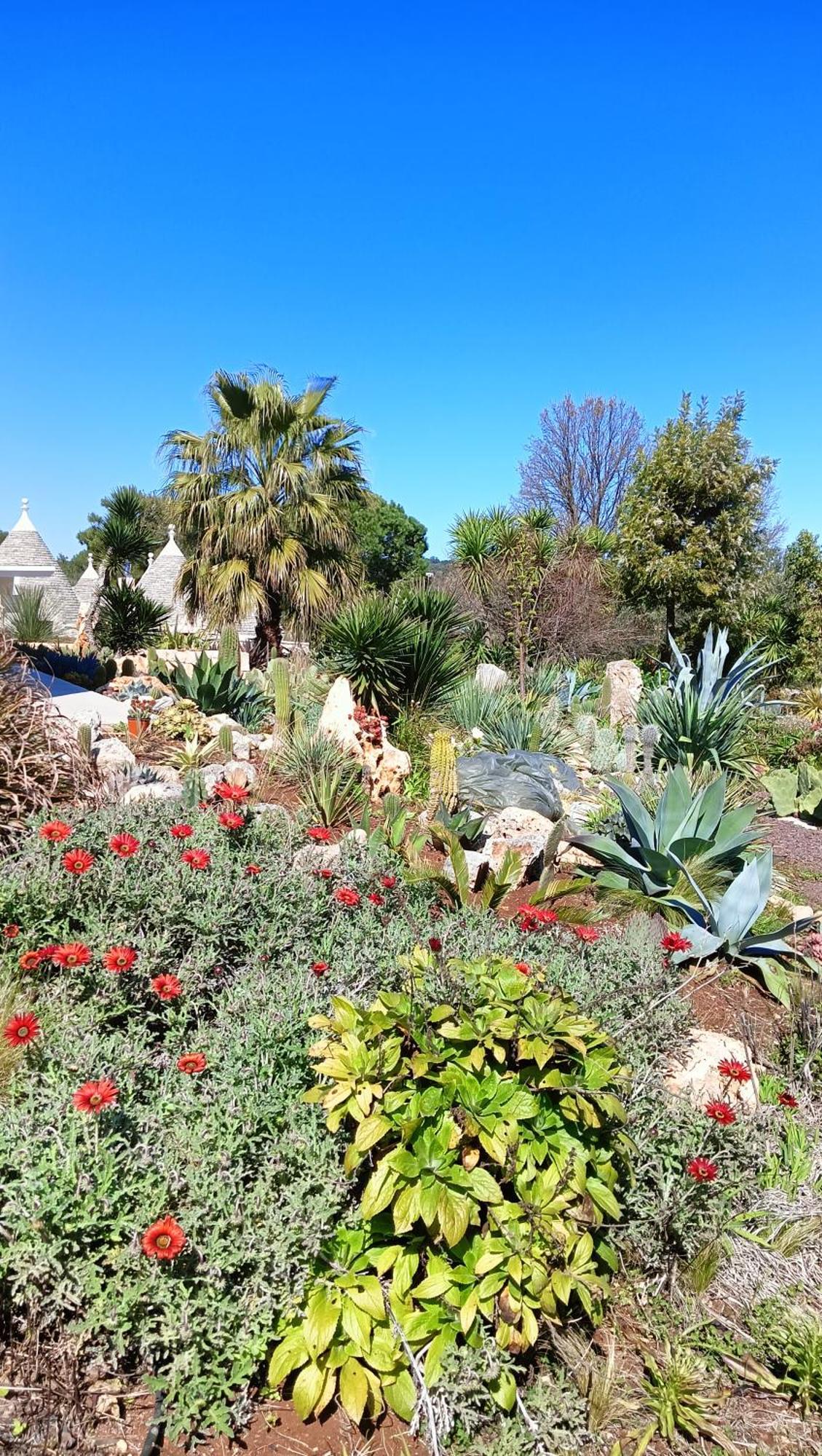 הוילה Trullo Bosco Libero אוסטוני מראה חיצוני תמונה